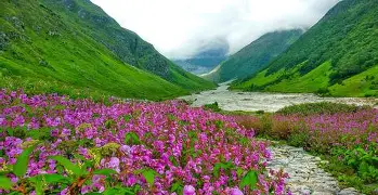 Domestic tour packages in India for family and holiday travel