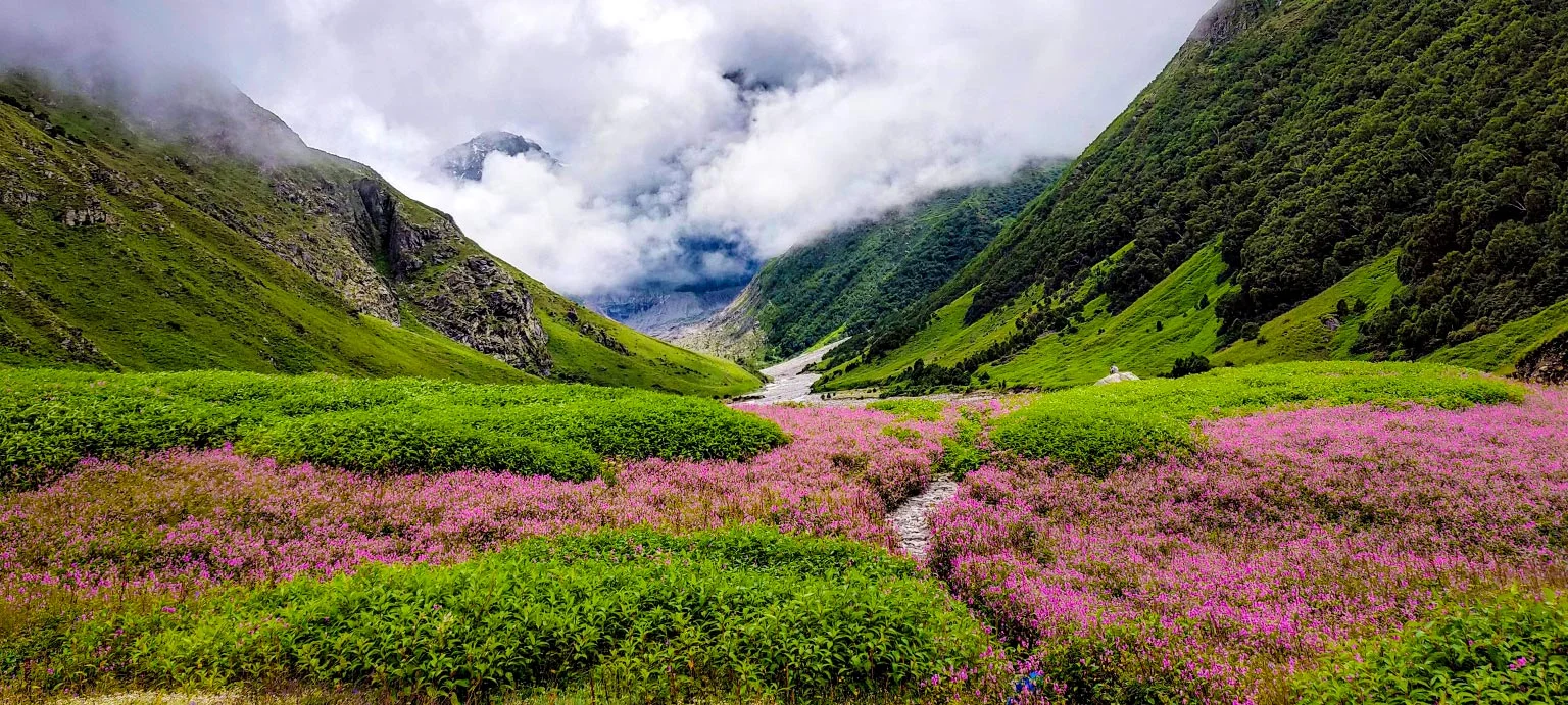 Valley of Flowers Trek