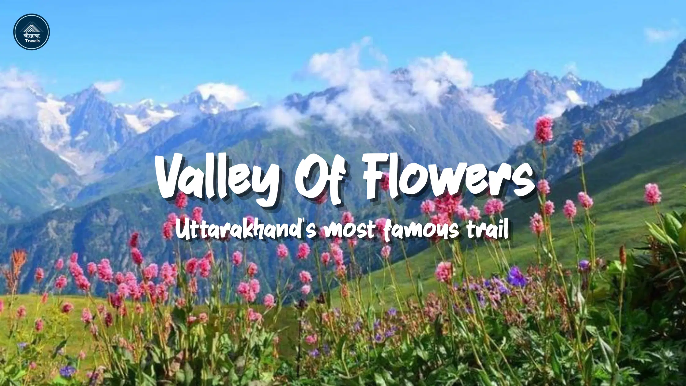 Best Time to Visit Valley of Flowers 2026 | Which Month?