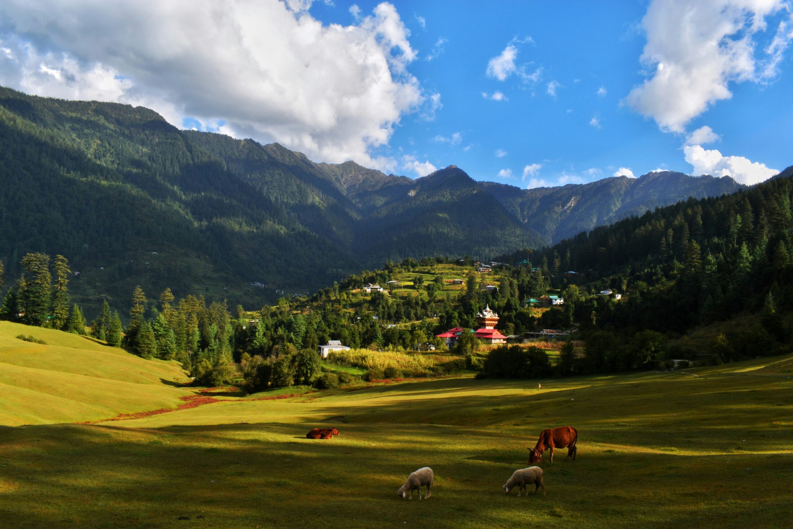 Uttarakhand Adventure Trails 5 days trekking package