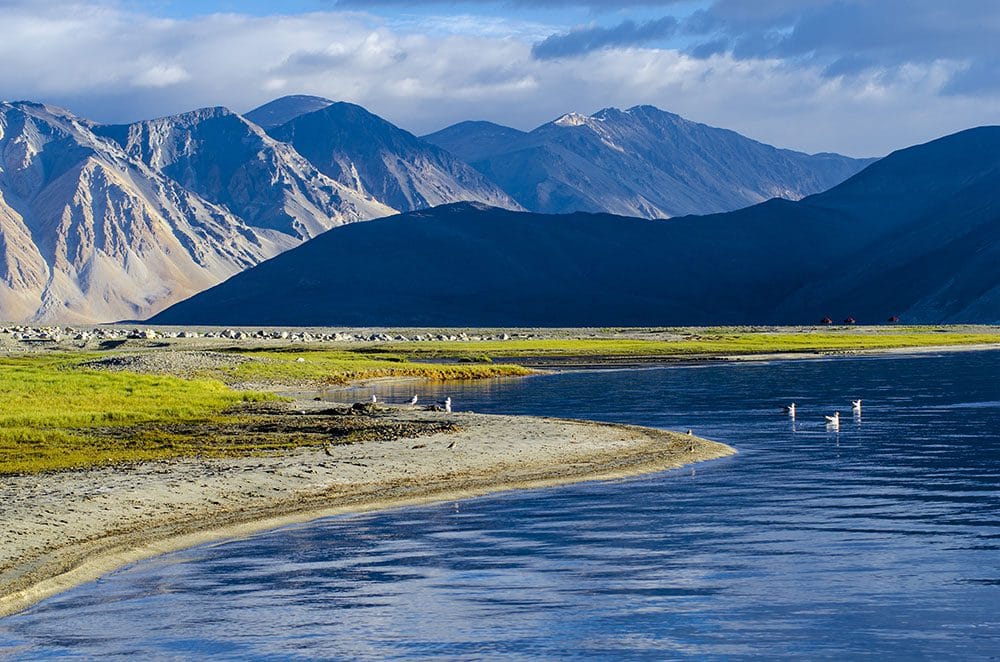 Pangong Lake Leh Ladakh blue water and mountains