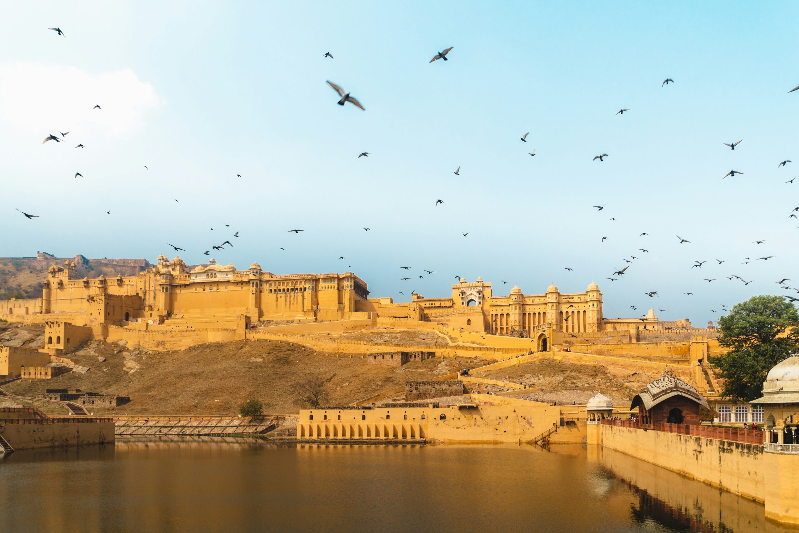 Rajasthan Royal Tour 8 days heritage package