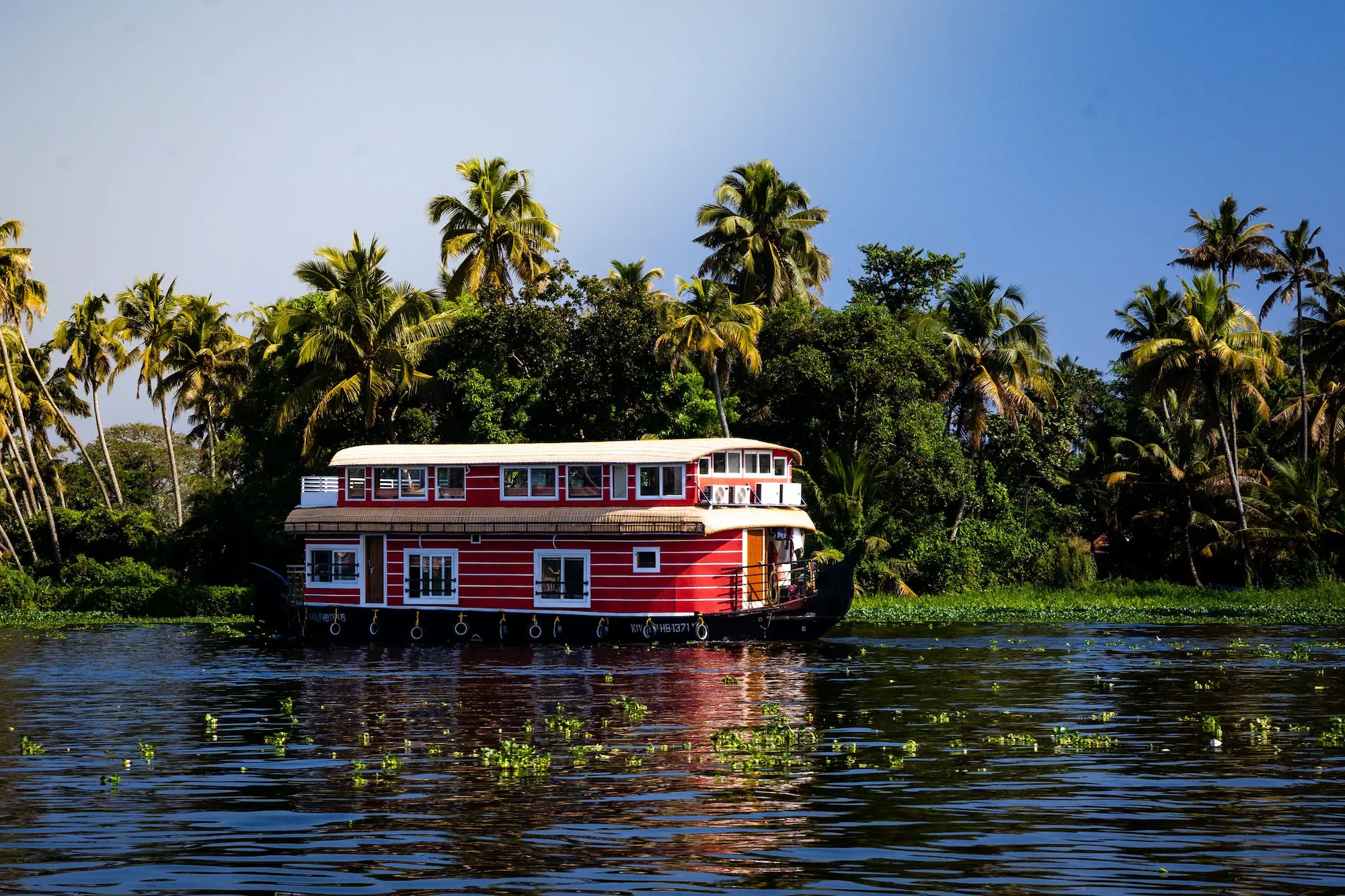 domestic tour packages