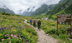 Valley of Flowers Permit & Entry Guide 2026
