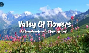 Best Time to Visit Valley of Flowers 2026
