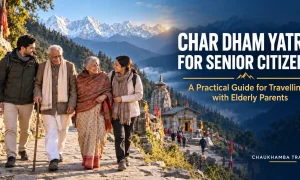 Char Dham Yatra for Senior Citizens: A Practical Guide for Travelling with Elderly Parents