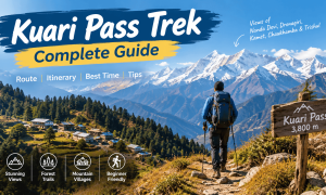 Kuari Pass Trek – Complete Guide